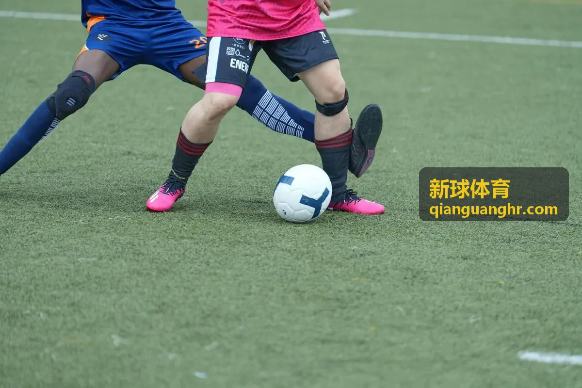新球体育赛事数据分析